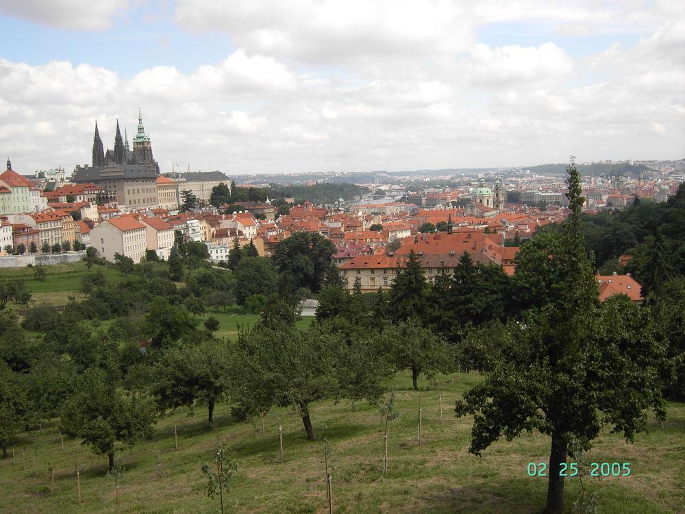 Little Town Budget Hotel Prag Exterior foto